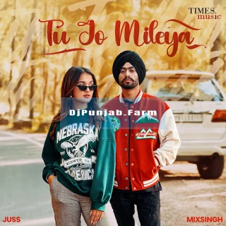 Tu Jo Mileya song cover