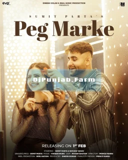 Peg Marke song cover