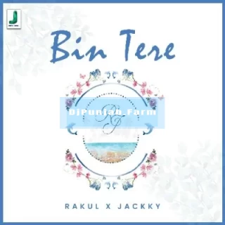 Bin Tere song cover