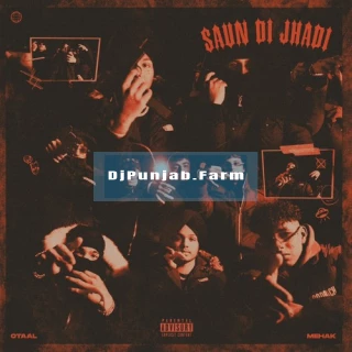 Saun Di Jhadi song cover