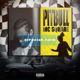 Pitbull song cover