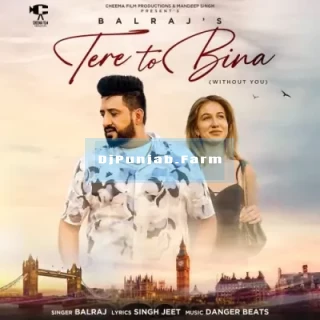 Tere To Bina song cover