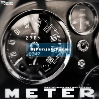 Meter song cover
