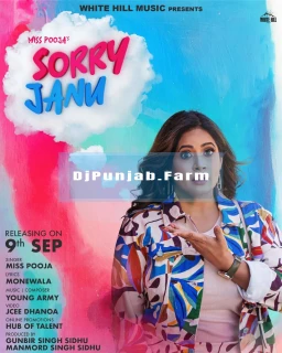 Sorry Janu song cover