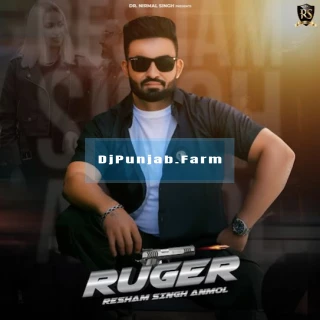Ruger song cover