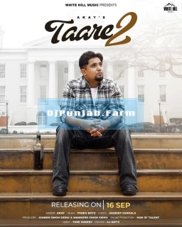 Taare 2 song cover