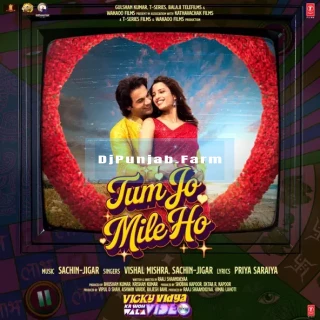 Tum Jo Mile Ho song cover