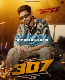 307 song cover