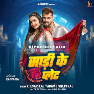 Sadi Ke Plate song cover