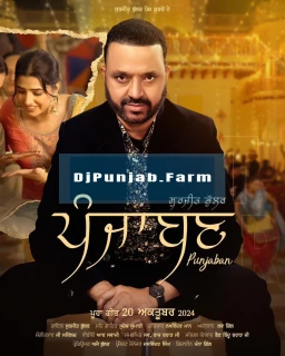 Punjaban song cover