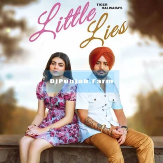 Little Lies song cover