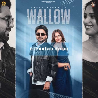 Wallow song cover