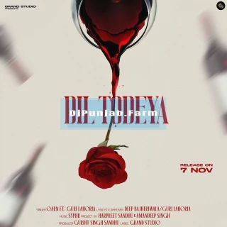 Dil Todeya song cover