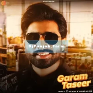 Garam Taseer song cover