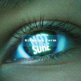Not Sure song cover
