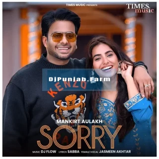 Sorry song cover