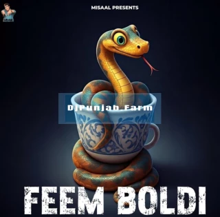 Feem Boldi song cover