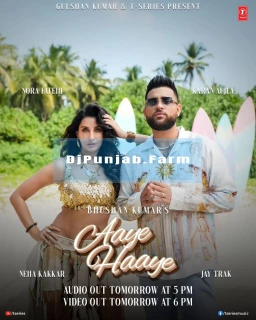 Aaye Haaye song cover