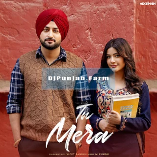 Tu Mera song cover