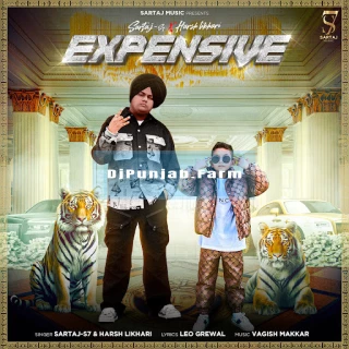 Expensive song cover