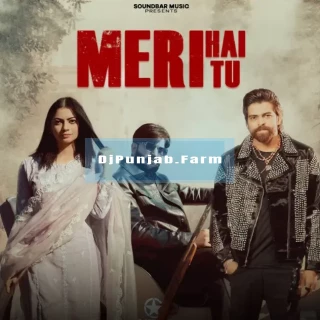 Meri Hai Tu song cover
