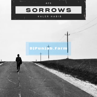 Sorrows song cover