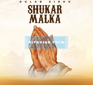 Shukar Malka song cover