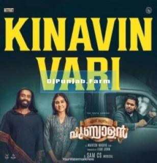 Kinavin Vari (Ennu Swantham Punyalan) song cover