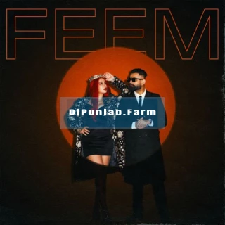 Feem song cover