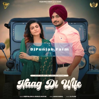 Naag Di Wife song cover