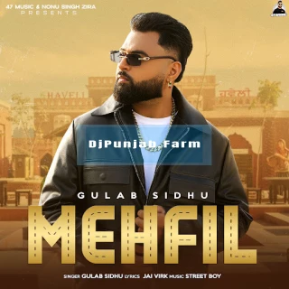 MEHFIL song cover