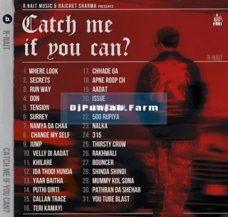 Catch Me If You Can