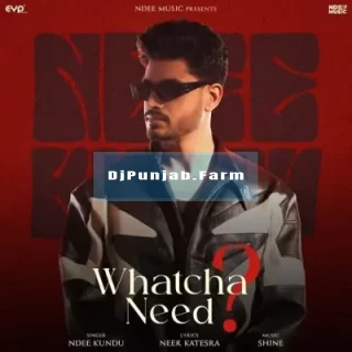 Whatcha Need song cover