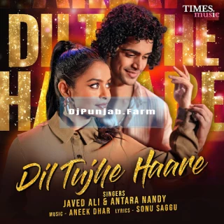 Dil Tujhe Haare song cover