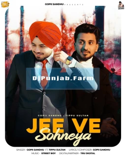 Jee Ve Sohneya song cover