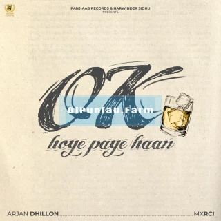 OK hoye paye haan song cover