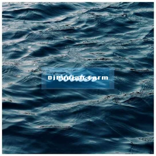 Water song cover