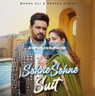 Sohne Sohne Suit song cover