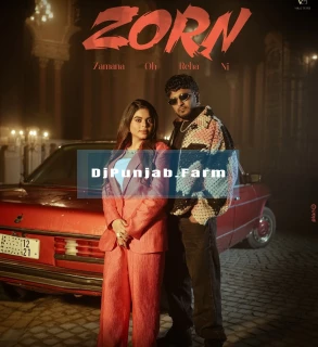 ZORN (Zamana Oh Reha Ni) song cover