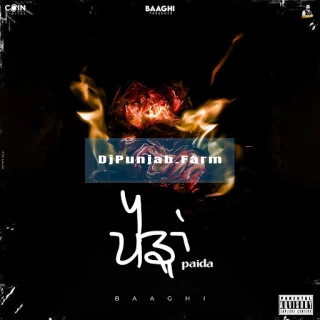 Paida song cover