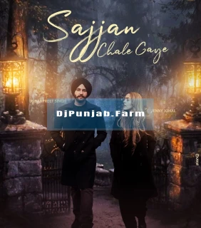 Sajjan Chale Gaye song cover