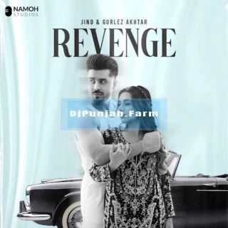 Revenge song cover
