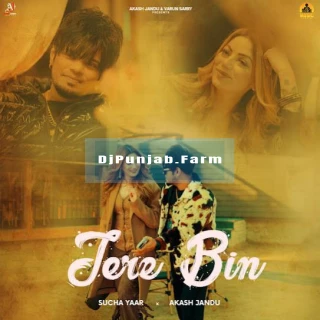 Tere Bin song cover