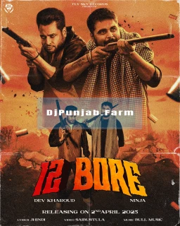 12 Bore song cover