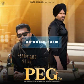 Peg song cover