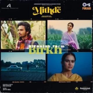 Birkh song cover