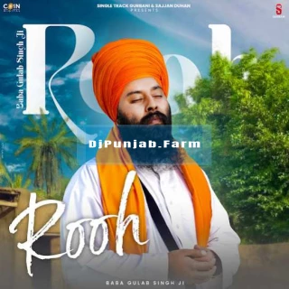 Rooh song cover