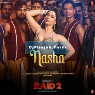 Nasha (Raid 2) song cover