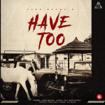 Have Too song cover