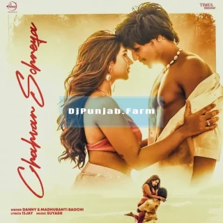 Chahvan Sohneya song cover